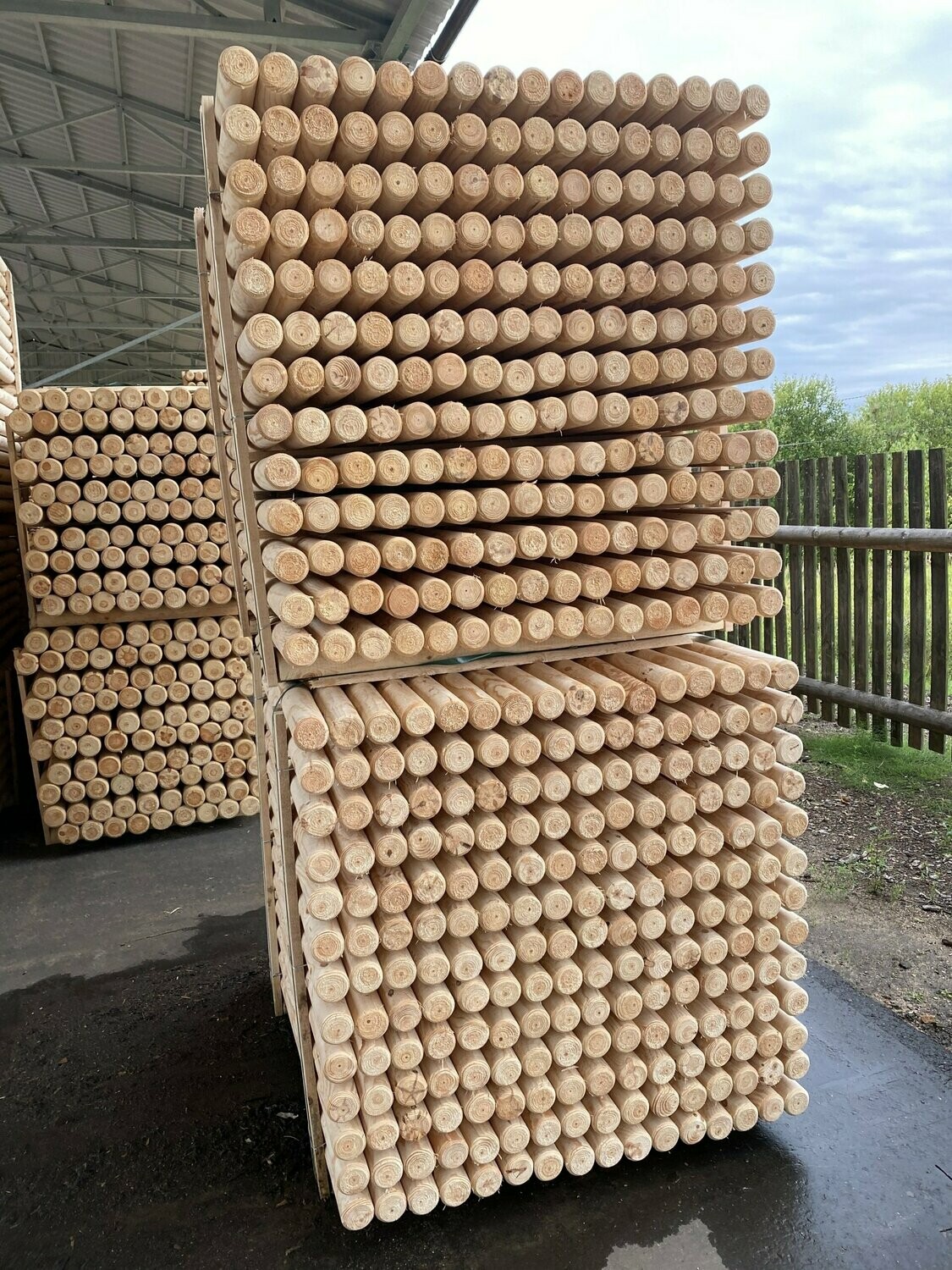 Baumpfähle Natur Ø 6 x 200cm - Palette mit 234 Stück