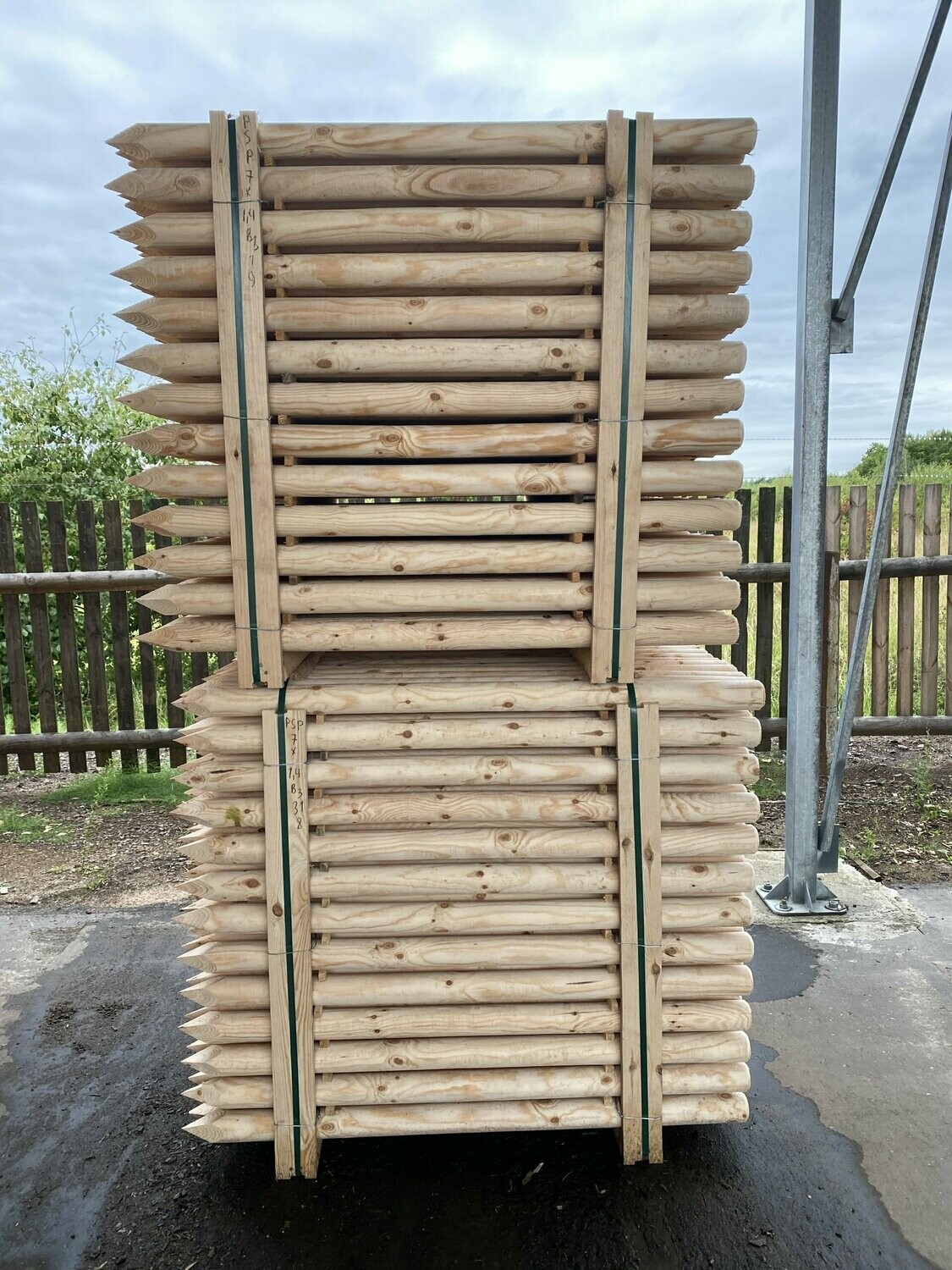 Baumpfähle Natur Ø 8 x 300cm - Palette mit 130 Stück