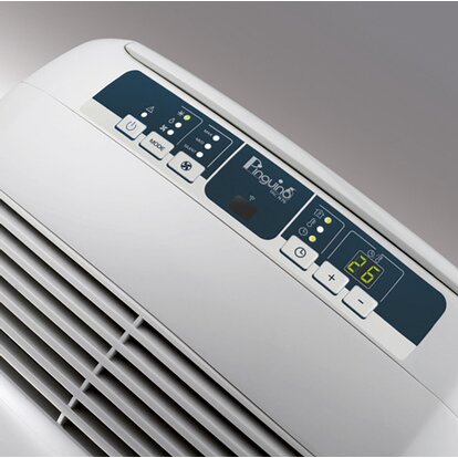 DeLonghi Klimaanlage PAC N90 2.500 W Weiß EEK