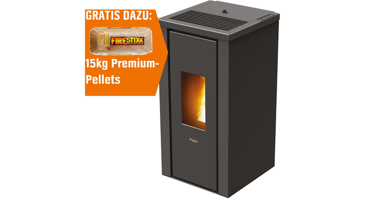 Pegaso Pelletofen Vera Stahl Anthrazit 6 kW EEK
